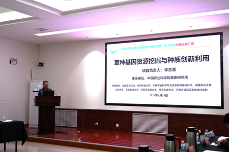 草種基因資源發掘與創新利用 2025年度總結會圓滿舉行，呼吁加強成果轉化動能